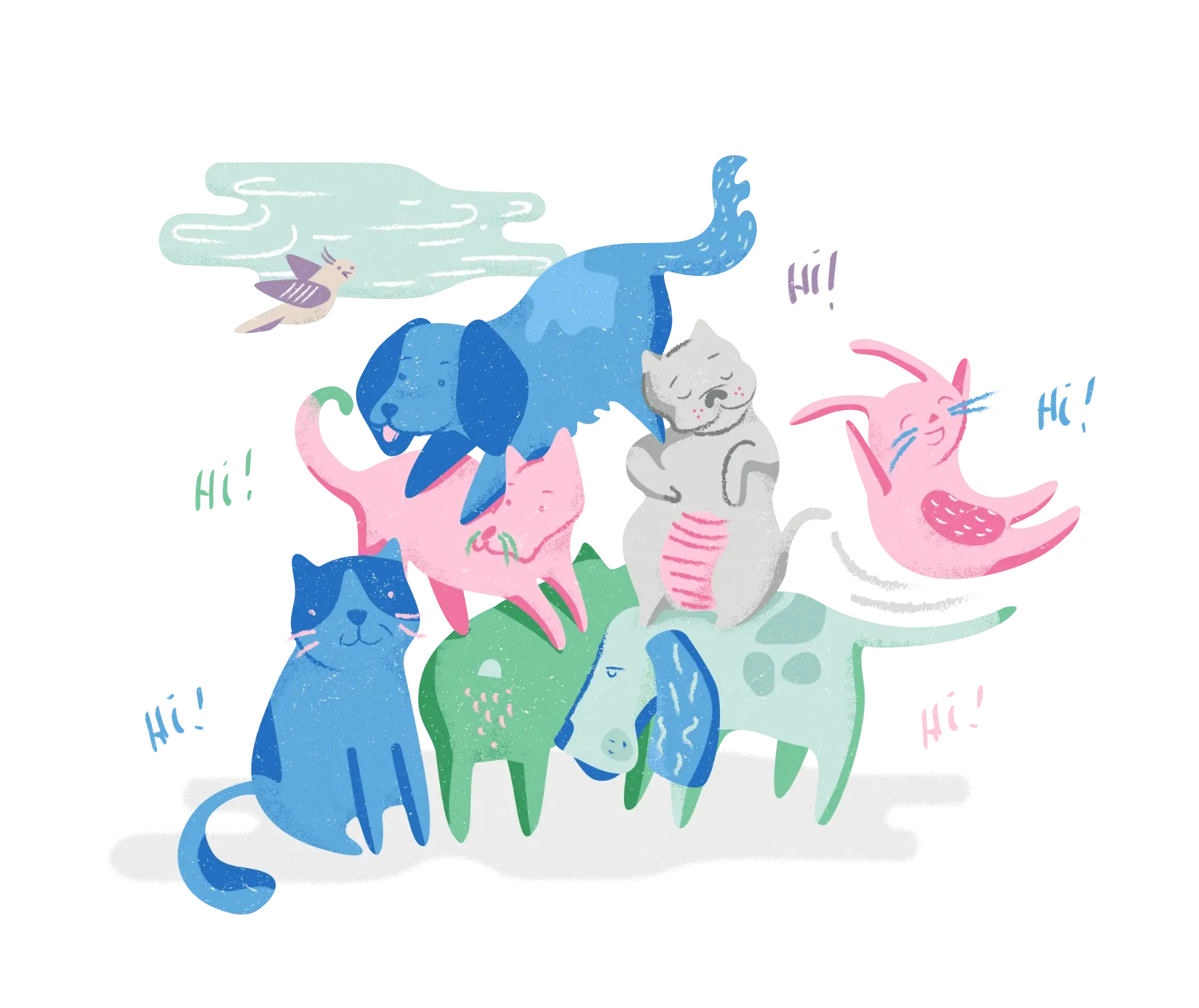 Rejoins la team MoPets !