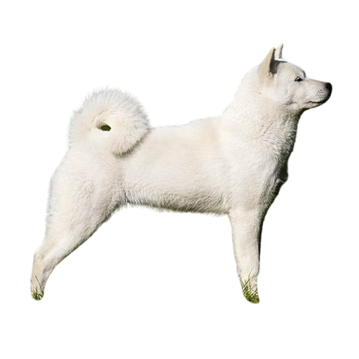 Hokkaido Ken